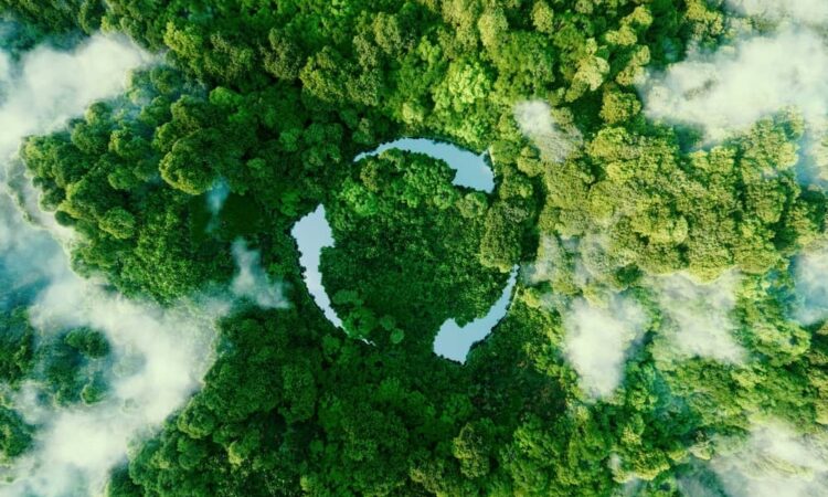 Can we rely solely on forests to offset our carbon emissions