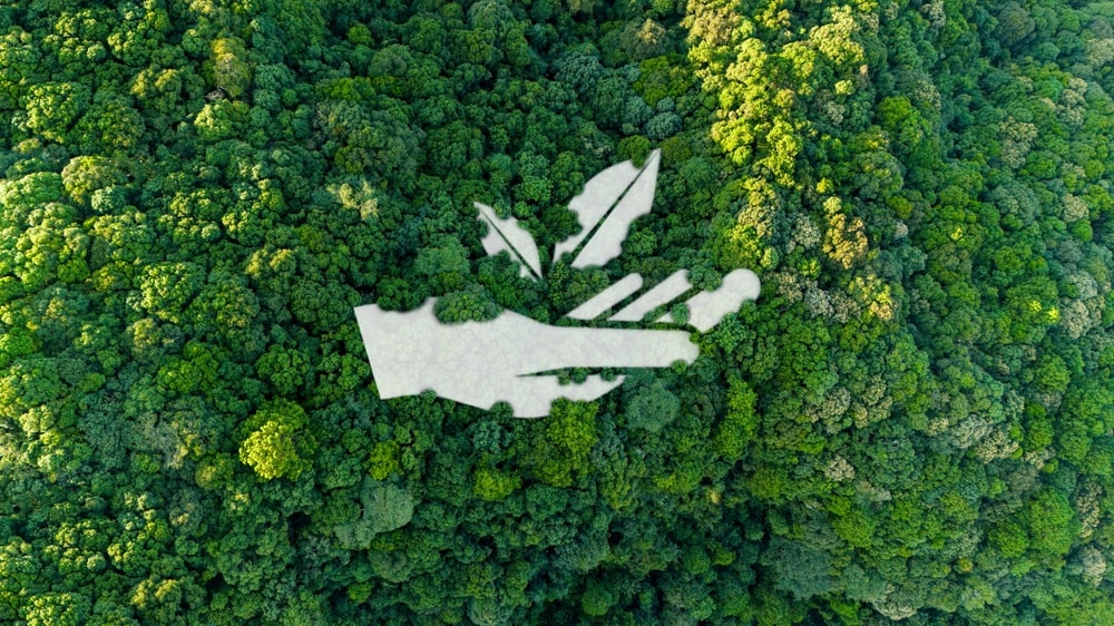 Protected areas: key tools for forest ecosystem conservation